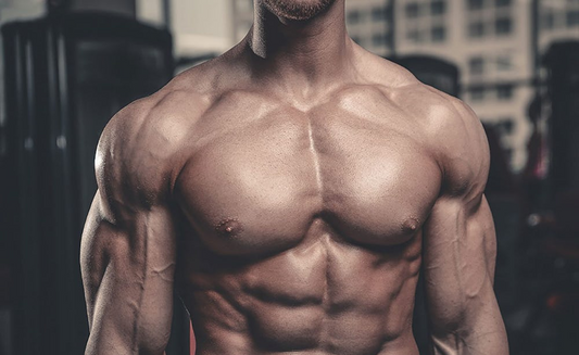 Close-up of a fit man's torso showcasing developed physique, emphasizing fitness and strength.