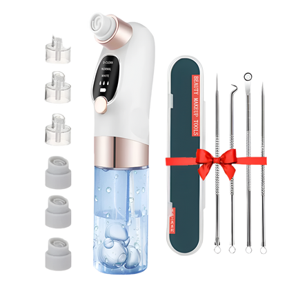Pore Perfect Vacuum Cleaner